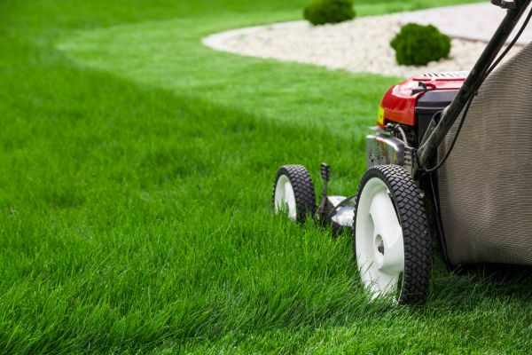 Lawn Cutting Service in Kailua Kona
