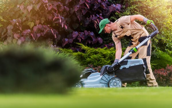 Yard Care Service in Kailua Kona