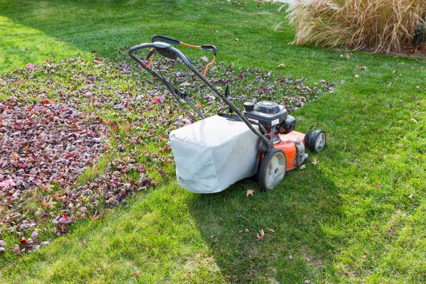 Seasonal Lawn Care in Kailua Kona