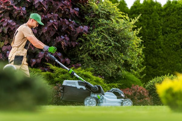 Lawn Management in Kailua Kona