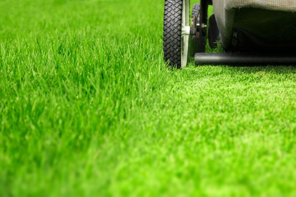 Weekly Lawn Care in Kailua Kona
