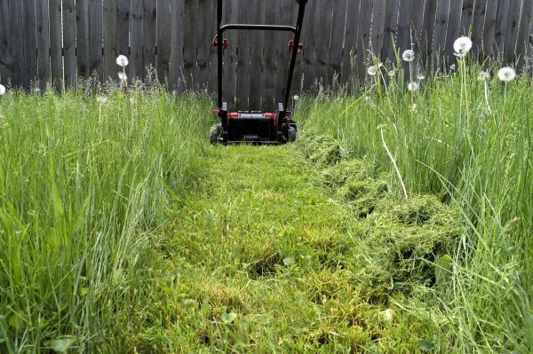 High Grass Mowing