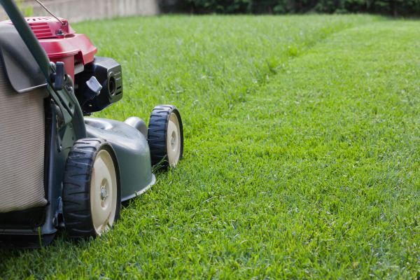 Summer Lawn Care in Kailua Kona