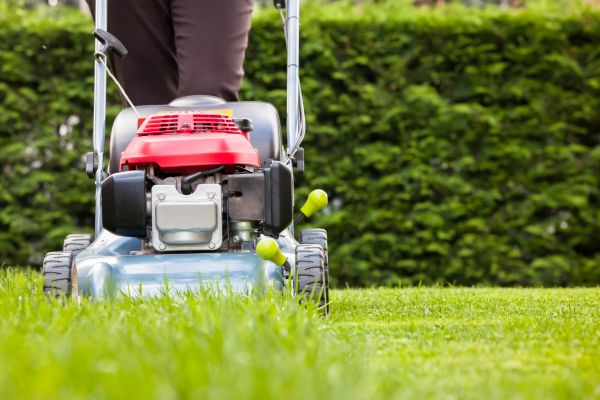 Grass Trimming Service in Kailua Kona