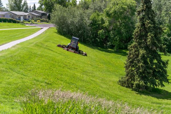 Hill Mowing in Kailua Kona