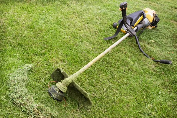 Hillside Weed Whacking in Kailua Kona