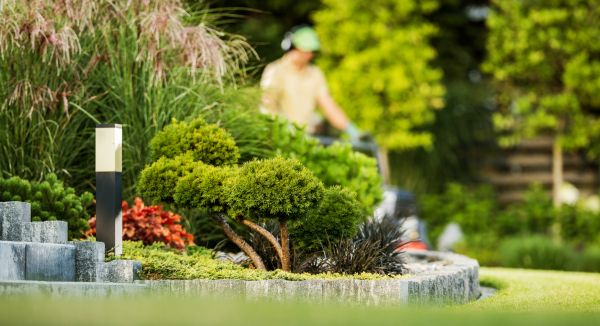Residential Yard Maintenance in Kailua Kona