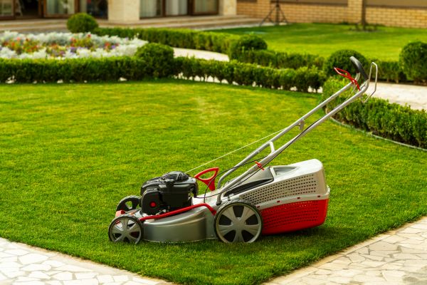Business Lawn Care