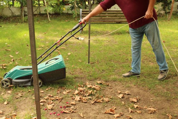 Leaves Mowing in Kailua Kona