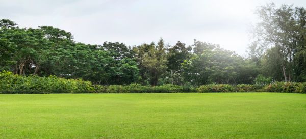 Golf Course Mowing in Kailua Kona
