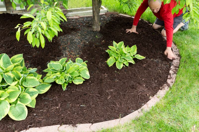 Mulching and Soil Care