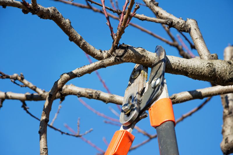 Seasonal Pruning