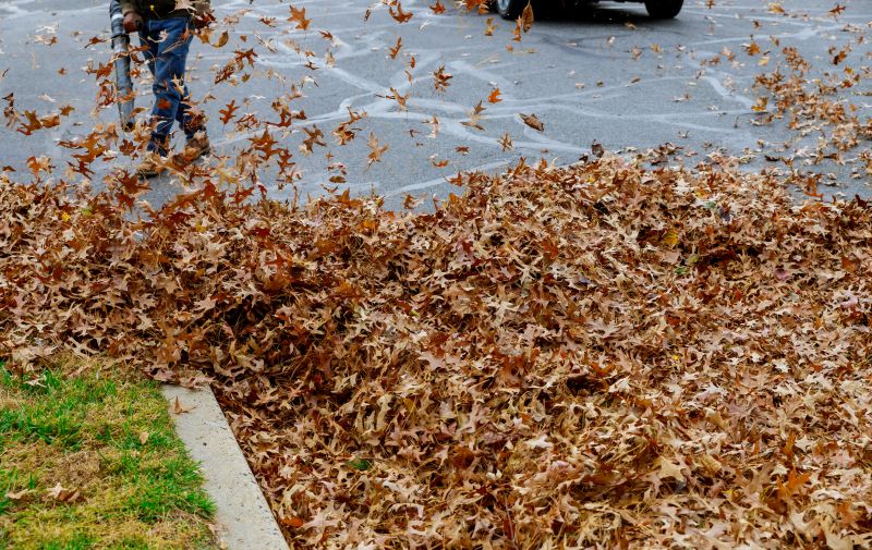 Leaf Blowing Method