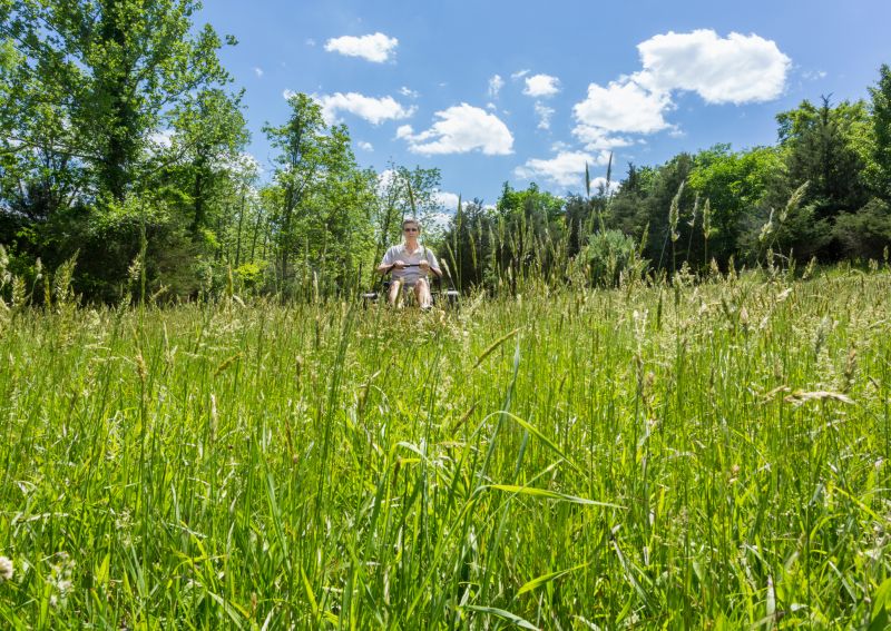Lawn Mowing in Sunny Weather