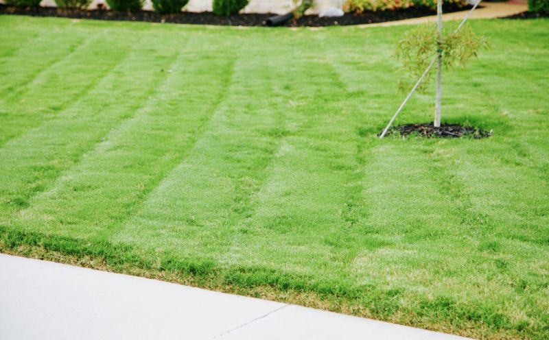 Grass Cutting Height